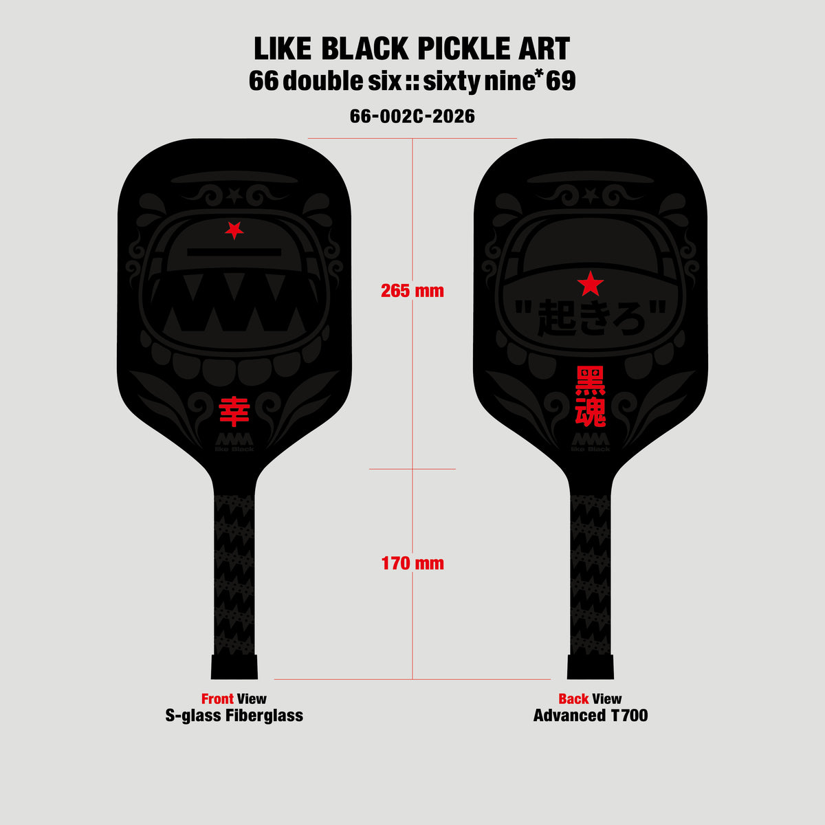 4A Pickle Paddle 66-002C-2026